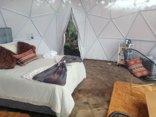 Glamping Orion