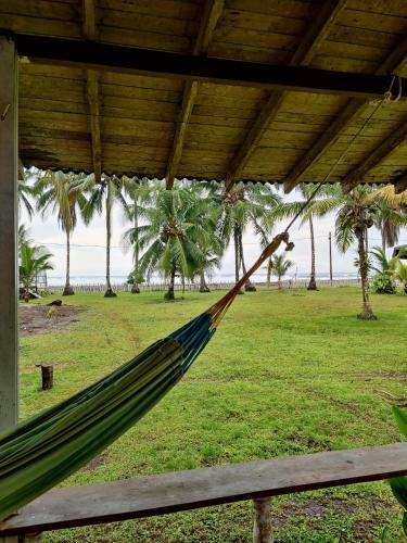 Hotel Posada Don A�