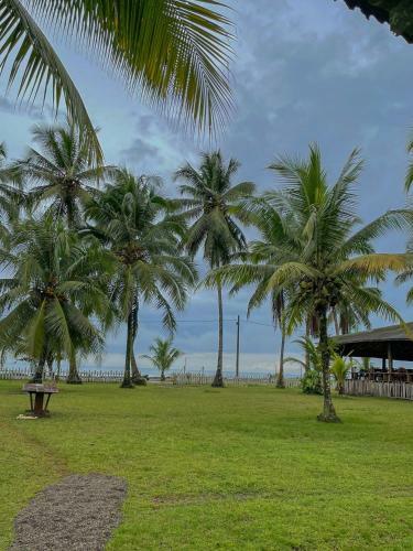 Hotel Posada Don A�