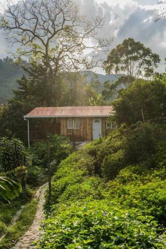 Caba�a Campestre Cerca A Ecoparque El Salado, Envigado.