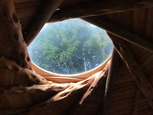 Ecoroundhouse