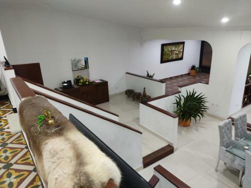 Casa Queens