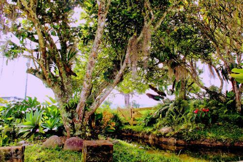 Casa Laureles