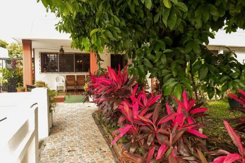 Hotel San Jose De La Monta�a
