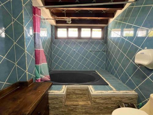 New ? 3 Spacious Bedrooms W/lake View And Garden