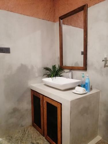 Hostal Sehas Home Stay
