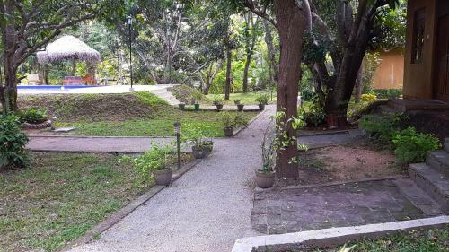 Lodge Bissa Villa
