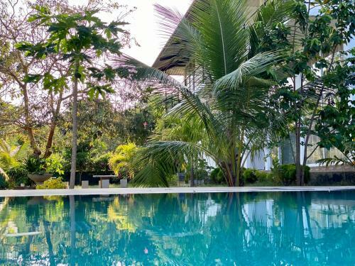 Bed & Breakfast Sapphire Garden Hotel