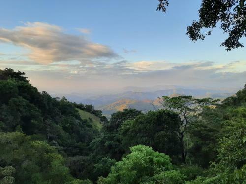 Glenmyu Estate