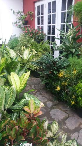 Royal Bungalow