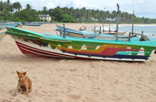 Kalimetiya Beach Cabana