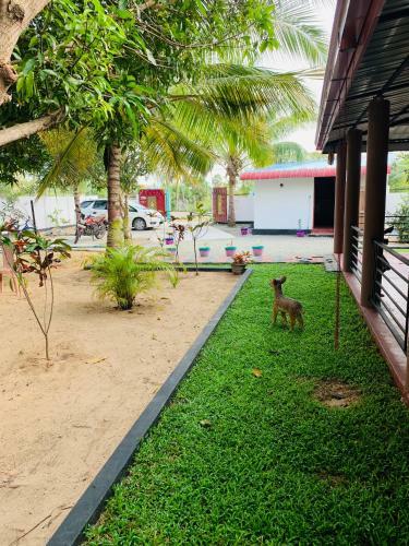 Hostal Aaruthraa Villa