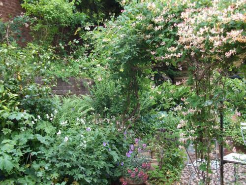 Bed & Breakfast Daybrook House