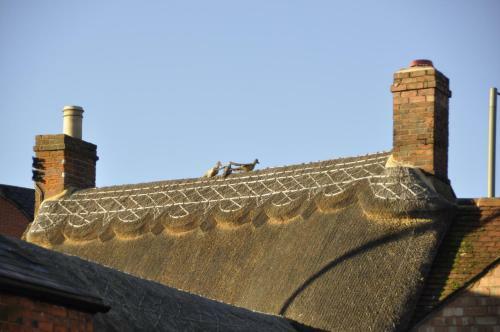 Posada The Three Pigeons Inn