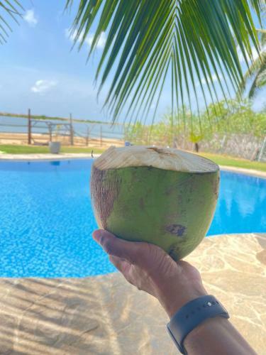Hotel The Blue Lagoon Resort Kalpitiya