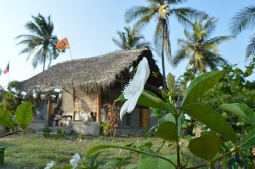 Hostal Dune Towers - Main Building