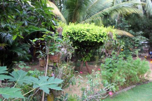 Anura Home Stay