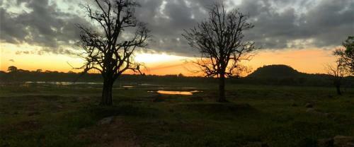 Captain's Cottage At Yala