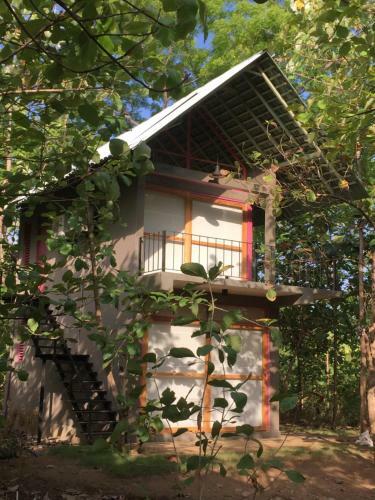 Hotel Great Horn Bill Yala
