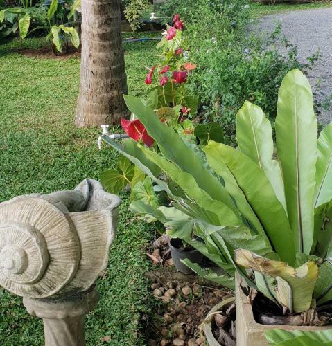 Hostal Mailagama Cinnamon Residence