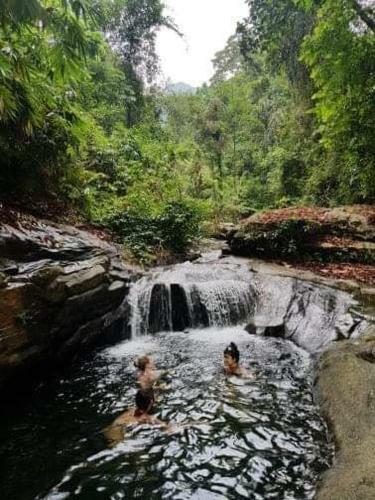 Hotel Gallene Gala Nature Resort