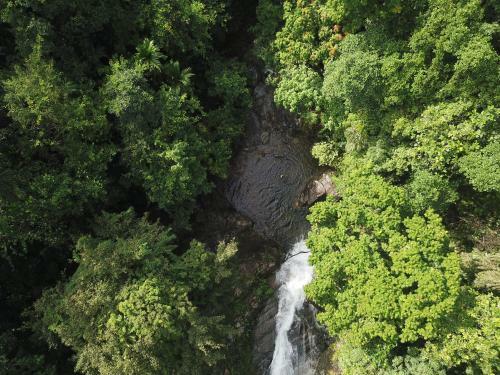 Hotel Gallene Gala Nature Resort