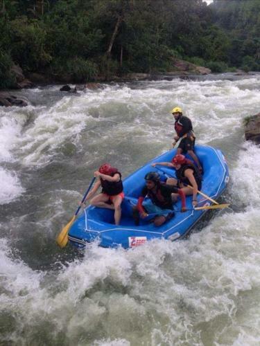 Hotel Kithulgala Holiday Resort