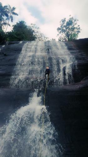 Hotel Kithulgala Holiday Resort