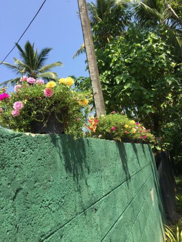 Apartamento Grandfather Villa