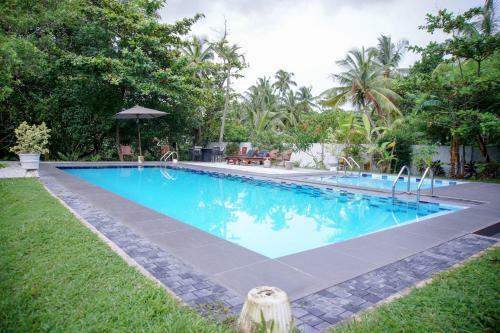 Hotel Blue Fox Holidays