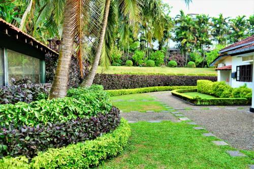 Bed & Breakfast Camellia Dwelling
