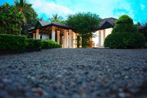 Bed & Breakfast Camellia Dwelling