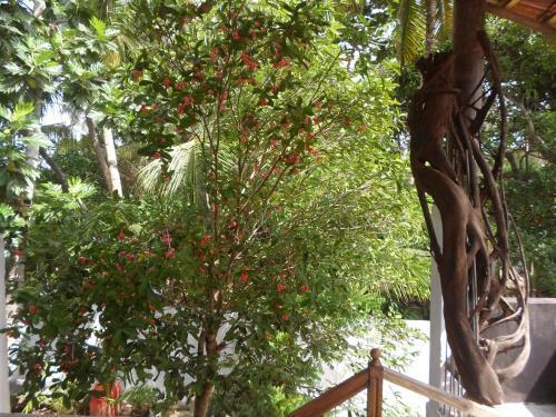 Hotel Heritage Villa
