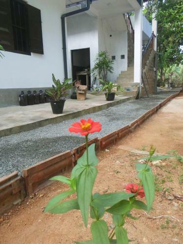 Hotel Heritage Villa