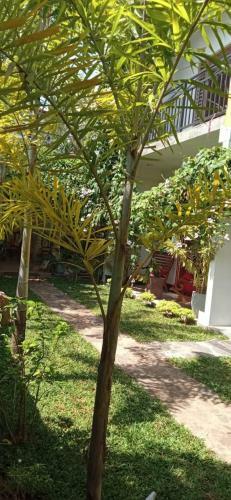 Bed & Breakfast Mandara Rest