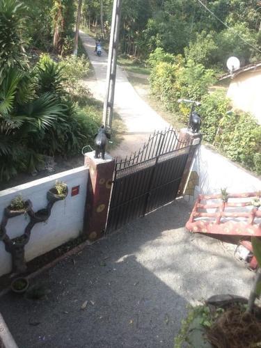 Apartamento Mango Villa 50