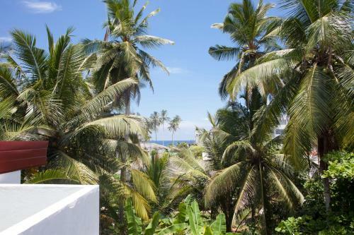 Hostal Alvas House