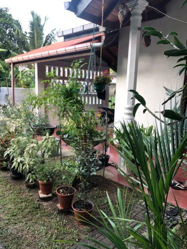 Hostal Skp Villa
