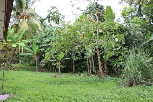 Agroturismo The Bunglow