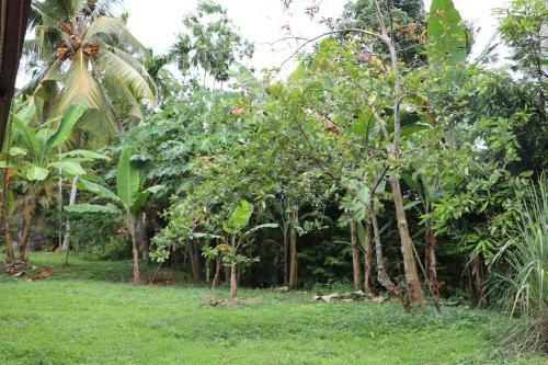 Agroturismo The Bunglow