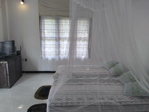 Hostal S.s.p. Villa