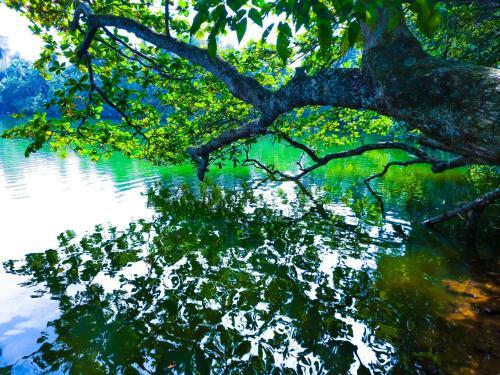 Scenery River Star Hotel