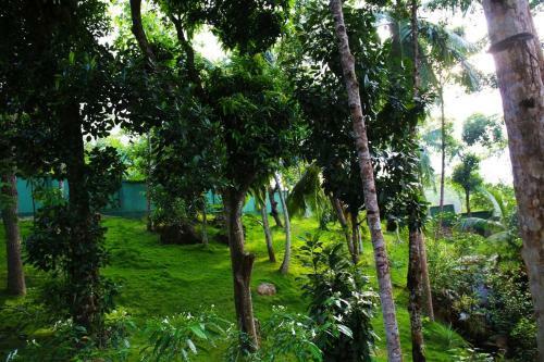 Treehouse Villas Hikkaduwa