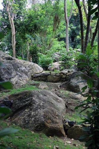 Treehouse Villas Hikkaduwa