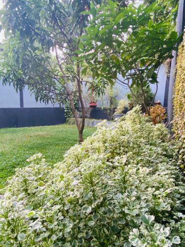 Hostal Sun White Villa