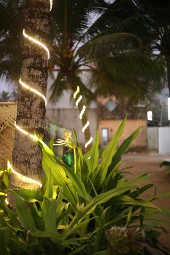 Apartamento Vip Beach Holidays