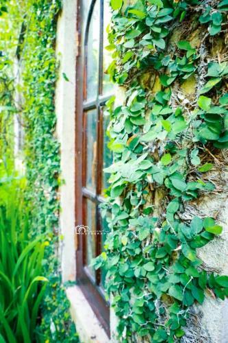 New Moon Villa