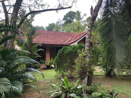 Villa Holly Day Hikkaduwa