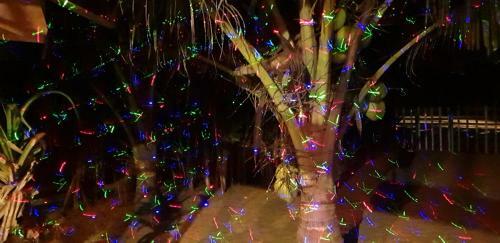Happy Cocos Beach House
