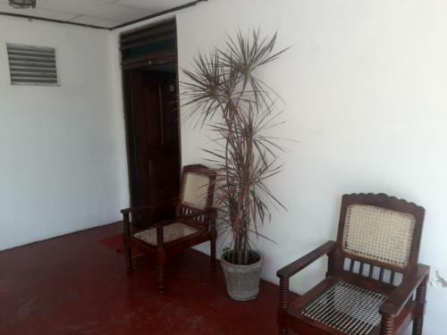 Bed & Breakfast Airport Budget Backpackers Hostel